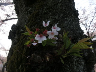 CIMG0581