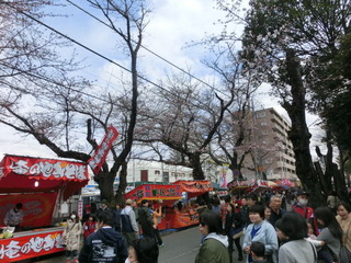 CIMG8952