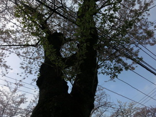 CIMG0582