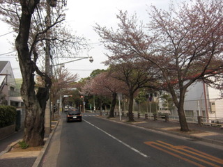 CIMG3504