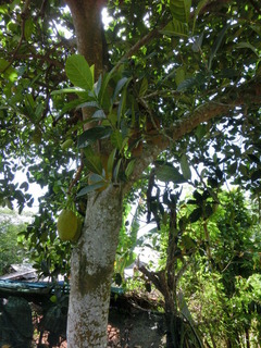 CIMG4197