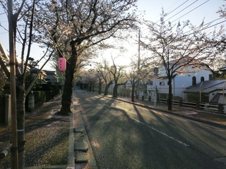 CIMG0538