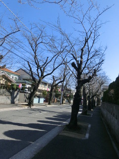 CIMG8066