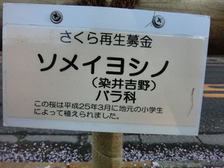 CIMG0551