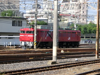 CIMG9850