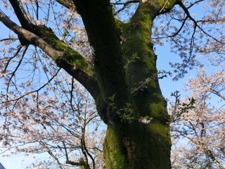 CIMG0531