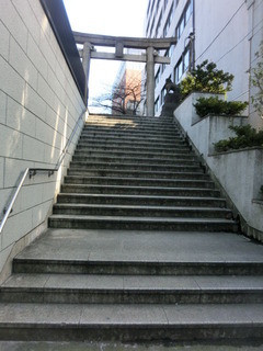 CIMG0194