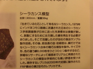 CIMG8543