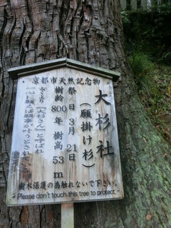 CIMG2667