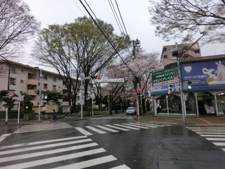 CIMG8537