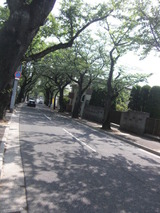 CIMG3632