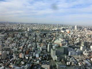 CIMG8566