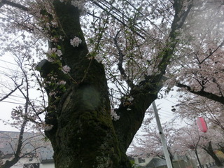 CIMG0490