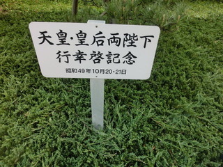 CIMG8766