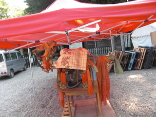 CIMG3920