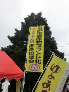 CIMG5826