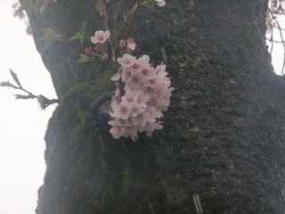 CIMG0513