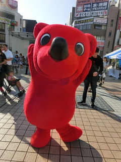 CIMG6998