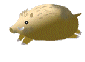 ����ܡ�