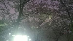 15041