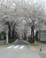 130330_1005~02-1