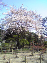 Image005