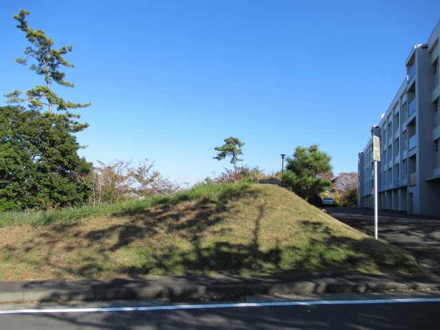 20181125いそご文化資源発掘隊 (14)