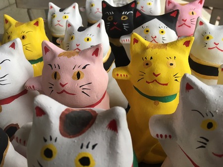 窖で復活!? 伝統の招き猫！ : 磯蔵酒造ブログ【蔵人日記】