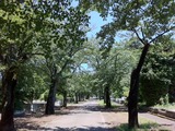 41cf039e.jpg