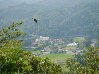 P1000750