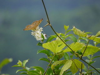 P1000746