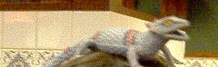 hint3