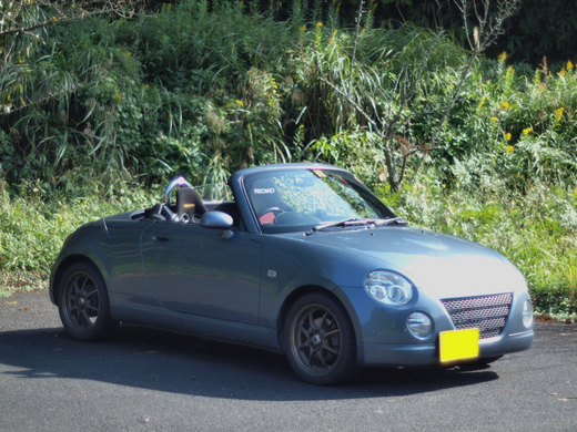 エスケレート