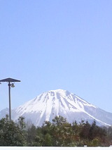 985ed016.jpg