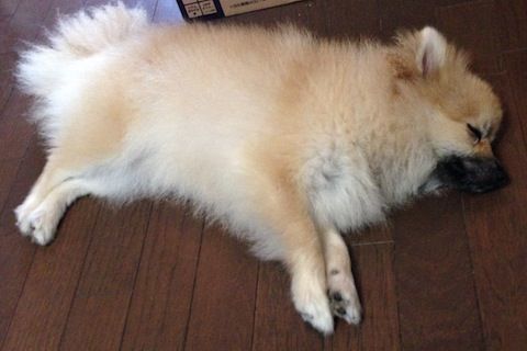 56 午前