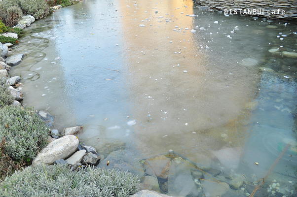 image201