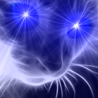 c8a55dee9f7d5bfcd34a16c85f1c0d17_400x400