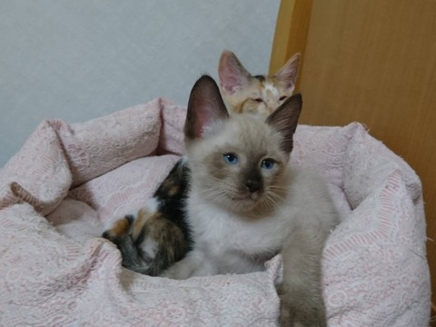 20180822221244