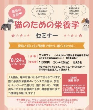 20180824202846