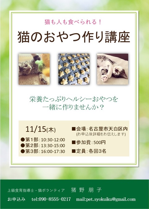 猫のおやつ作り教室チラシ20181115 - コピー - コピー