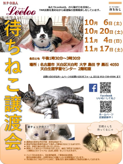 譲渡会ポスター2