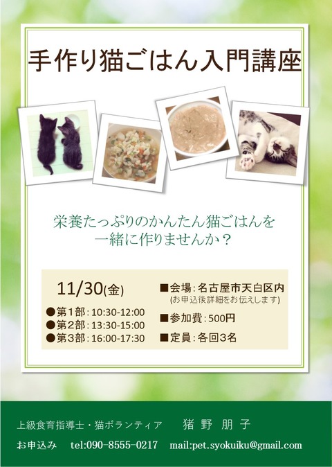 猫の手作り食入門講座チラシ20181130