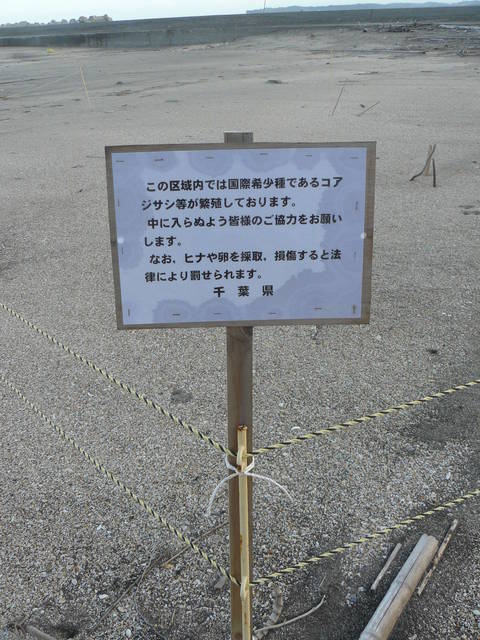 ��������ϸ��նᡡ��������������졡�����߻�̨Į����