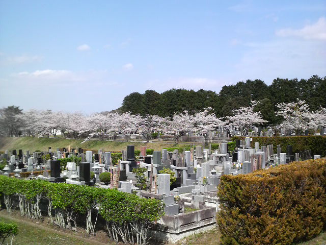 P1000455