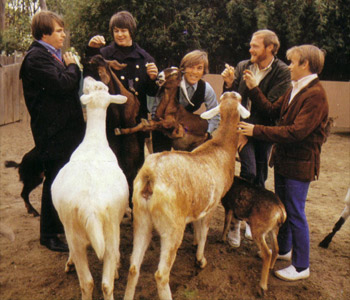 band_beachboys