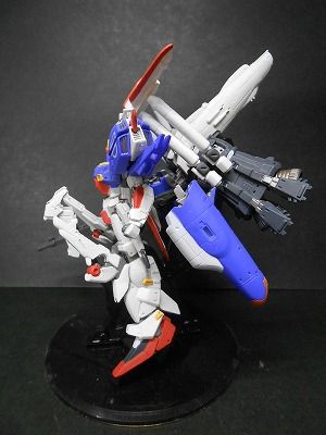 DSCN4550.jpg