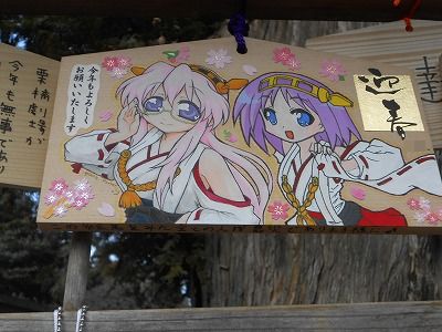DSCN3670.jpg
