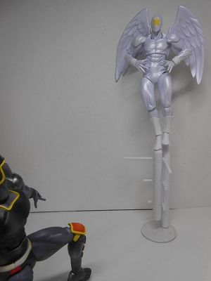 DSCN8499.jpg