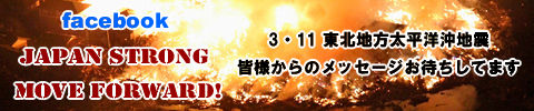 311banner