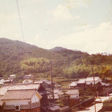 529a0875.jpg